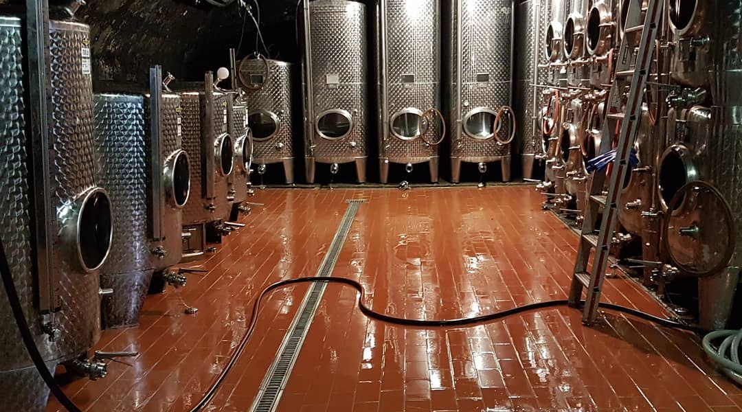 &copy; Weingut B&uuml;rgermeister Carl Koch