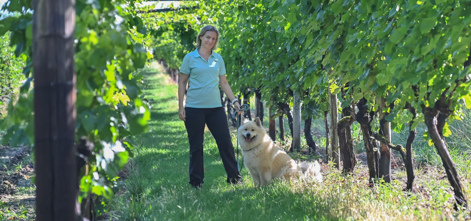 Weinlaube, © Verbandsgemeinde Gau-Algesheim, Foto: Andreas Pacek