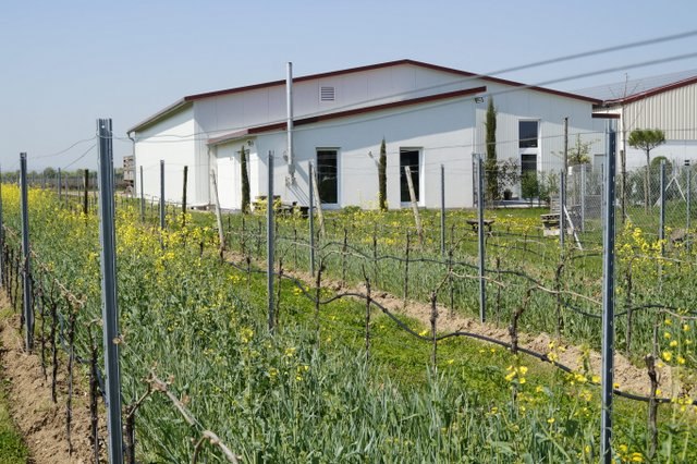 &copy; Weingut Kiefer