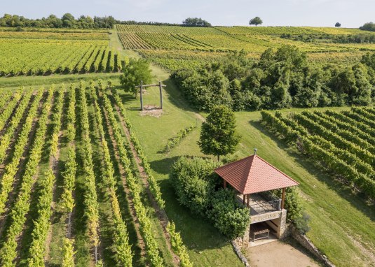 Aussichten von oben © Verbandsgemeinde Gau-Algesheim