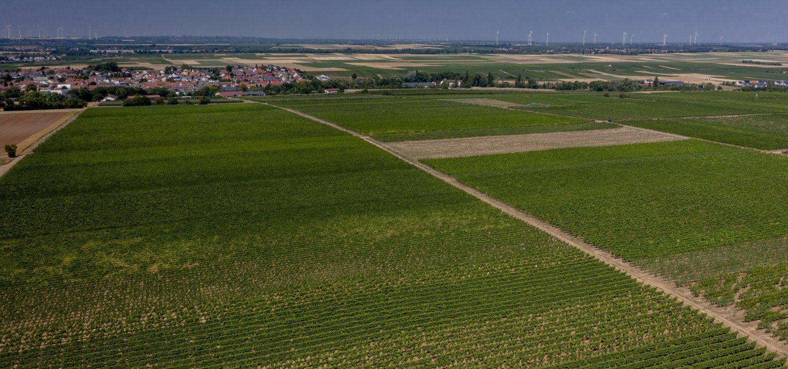 Offsteiner Engelsberg