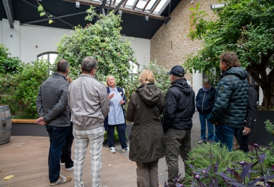 Führung im Ingelheimer Winzerkeller, © Stadt Ingelheim_Singer-Fischer