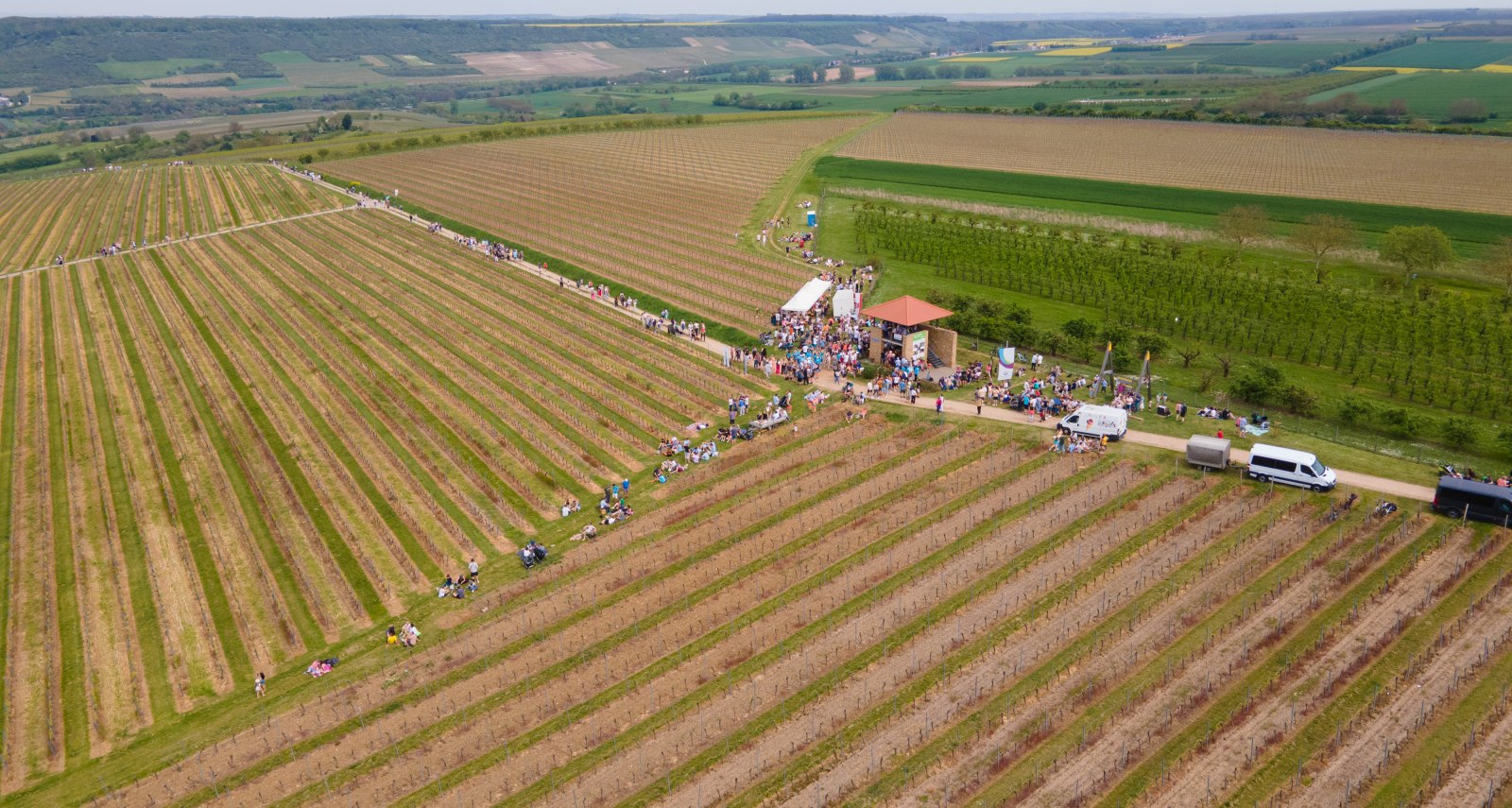 Weinlagenwanderung Johannisberger T&uuml;rmchen, &copy; VG Gau-Algesheim_Armin Kleisinger