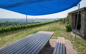Tisch des Weins