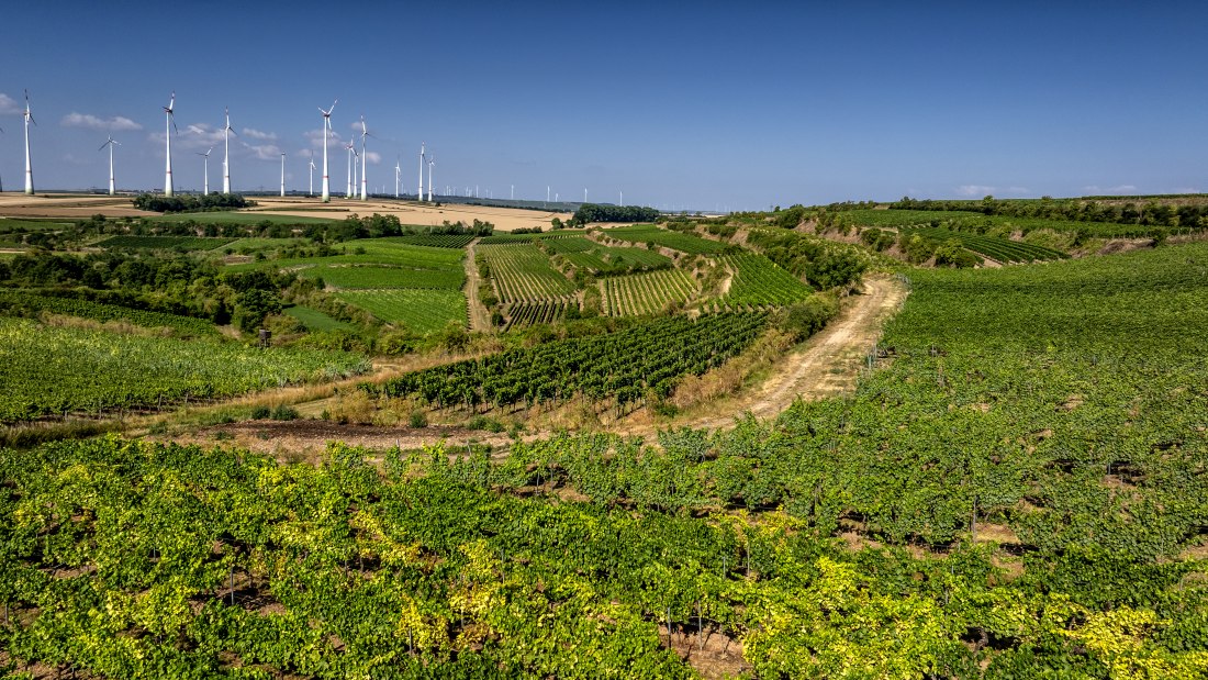 Alsheimer R&ouml;merberg, &copy; Torsten Silz