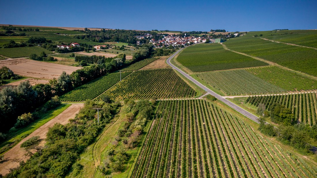 Engelstadter Adelpfad