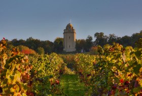 Bismarckturm mit Blick von den Weinbergen &copy; Rainer Oppenheimer/Stadt Ingelheim