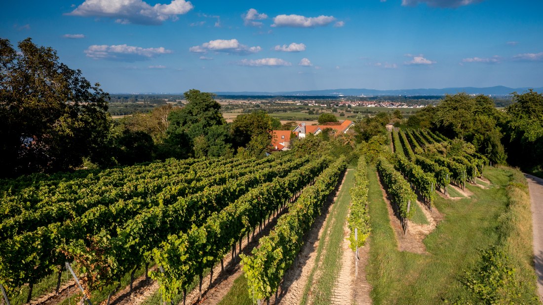 Alsheimer Fischerpfad