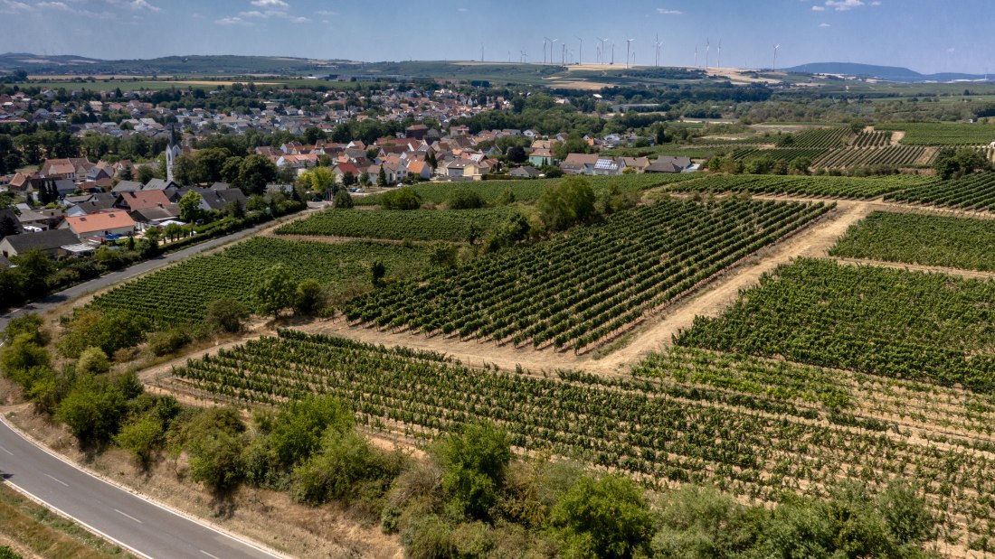 Monsheimer Rosengarten