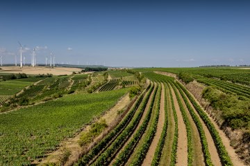 Alsheimer R&ouml;merberg, &copy; Torsten Silz