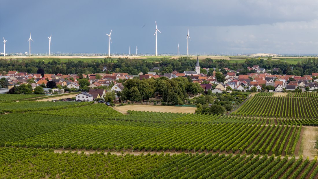 Heppenheimer Affenberg, © Torsten Silz