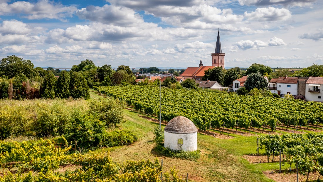 Pfeddersheimer Sankt Georgenberg