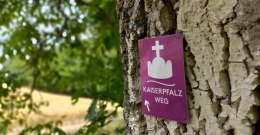 Kaiserpfalzweg &copy; Stadt Ingelheim/ Pascal Bernhard