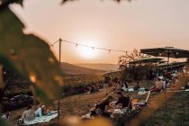 Weingut Singer-Fischer_Wiese, &copy; Max Singer-Fischer