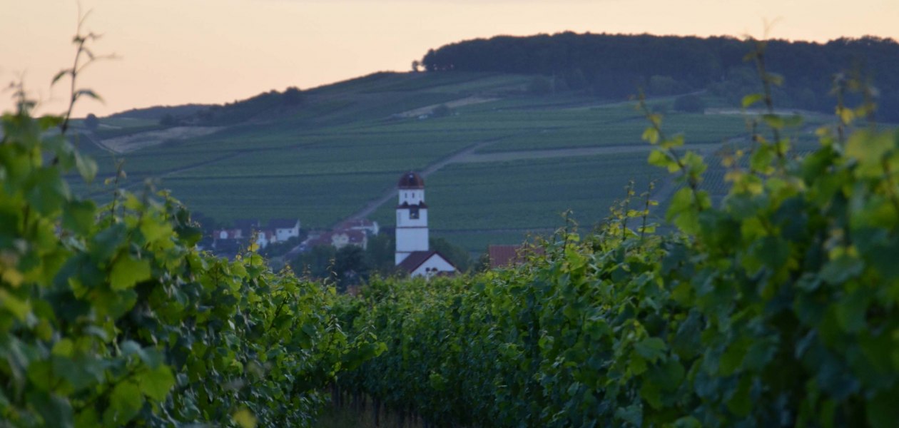 Weingut Richtarsky/ Ludwigshof_Weinberge, &copy; Weingut Richtarsky/ Ludwigshof