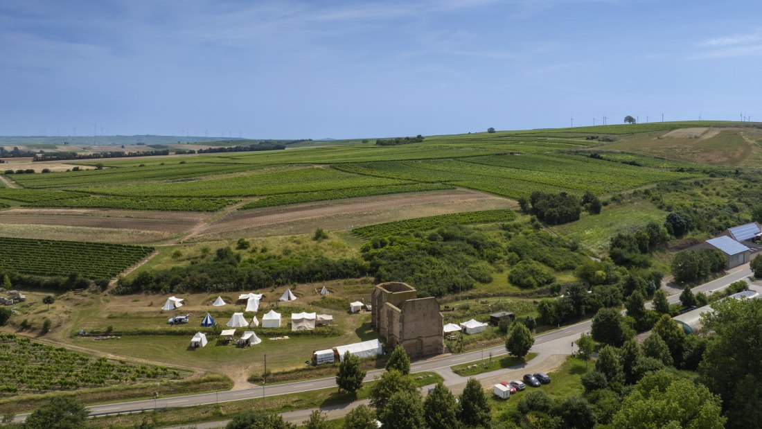 Eckelsheimer Eseltreiber, &copy; Torsten Silz