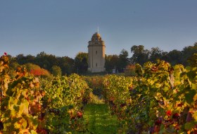 Bismarck tower with vineyards © Rainer Oppenheimer