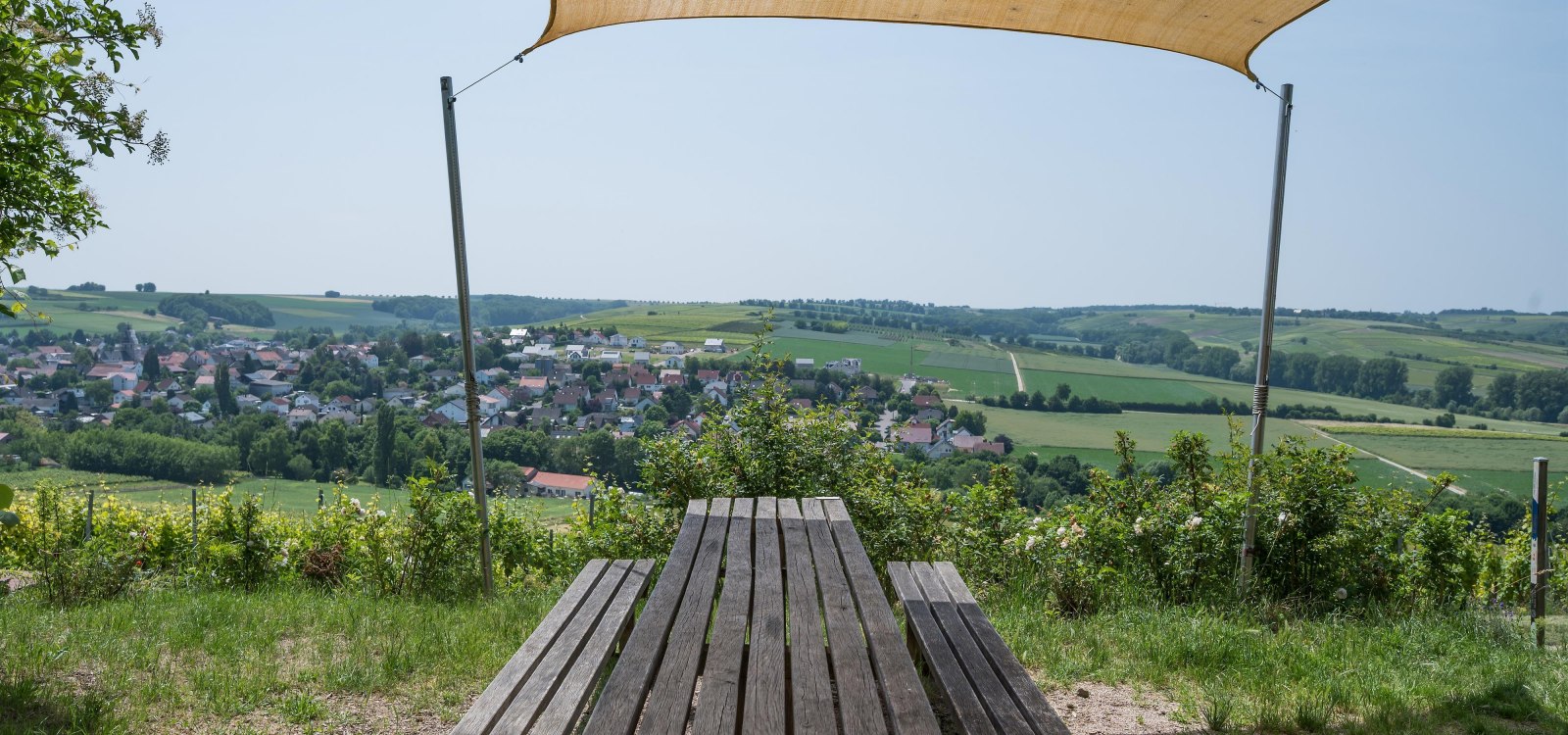 Tisch des Weins, © Verbandsgemeinde Fau-Algesheim