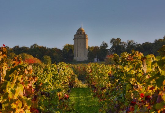 Bismarck tower with vineyards, © Rainer Oppenheimer
