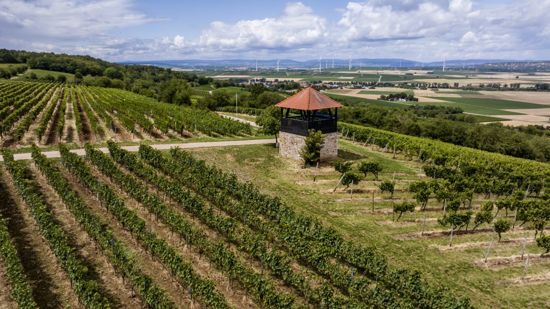 Bornheimer Hähnchen