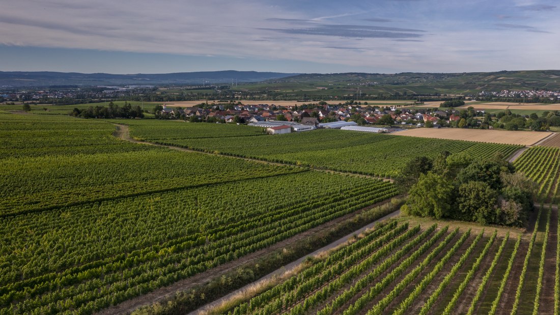 Biebelsheimer Kieselberg