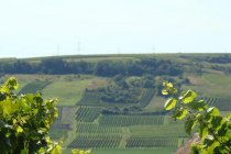 Kloppberg, &copy; Verbandsgemeinde Wonnegau / Michael Thier