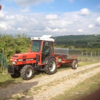 Arbeit in den Weinbergen © Mechtild Weitzel