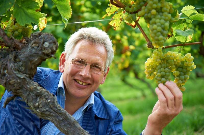 20110922_d7r_0718_preview, &copy; Weingut Kapellenhof