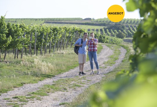 Wandern in Ingelheim, &copy; Angelika Stehle/Stadt Ingelheim
