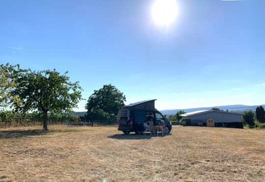 Vanaf de camperplaats kunt u genieten van een prachtig panoramisch uitzicht op de wijnstreek Rheingau aan de andere kant van de Rijn. De zonsondergangen zijn een genot., &copy; Wijnmakerij Mett &amp; Weidenbach