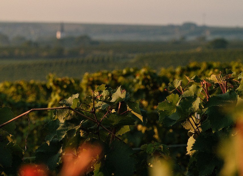 Weinberg