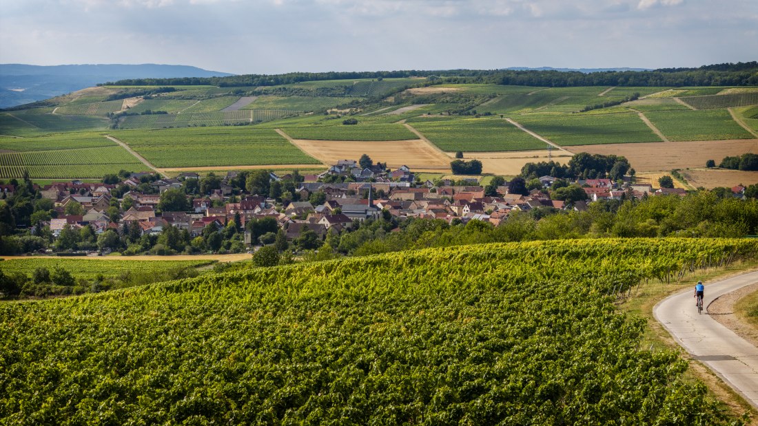 Sankt Johanner Klostergarten, &copy; Torsten Silz