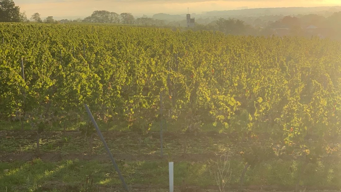 &copy; Weingut Steinm&uuml;hle