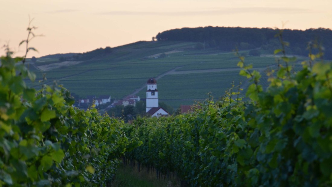 weinbergerichtarsky, &copy; Weingut Richtarsky/ Ludwigshof