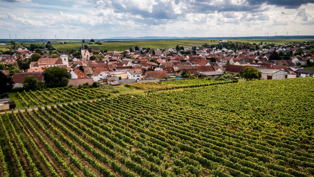 Bechtheimer Rosengarten