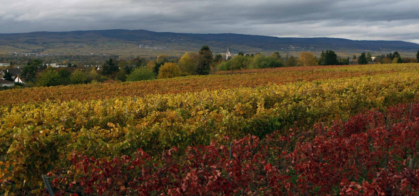 Nieuwe Andreas dorst, © Andreas dorst