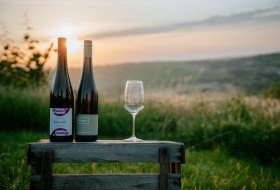 Weingut Finkenauer 01 © Weingut Finkenauer