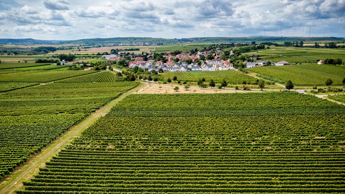 Hohen-Sülzener Kirchenstück