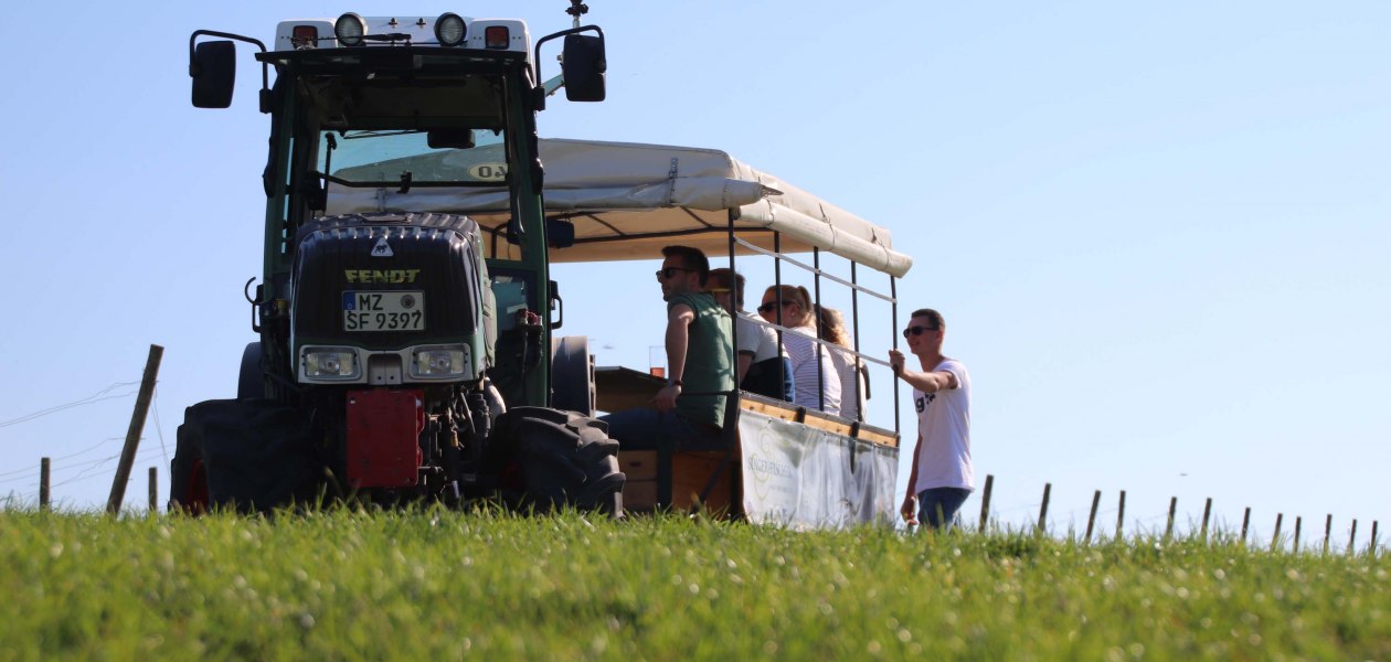 © Max Singer-Fischer