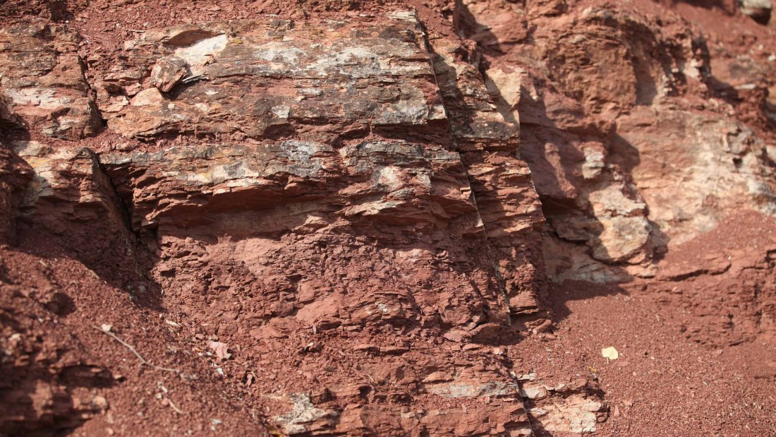 Roter Hang Strub Nierstein1, &copy; Michael von Haugwitz