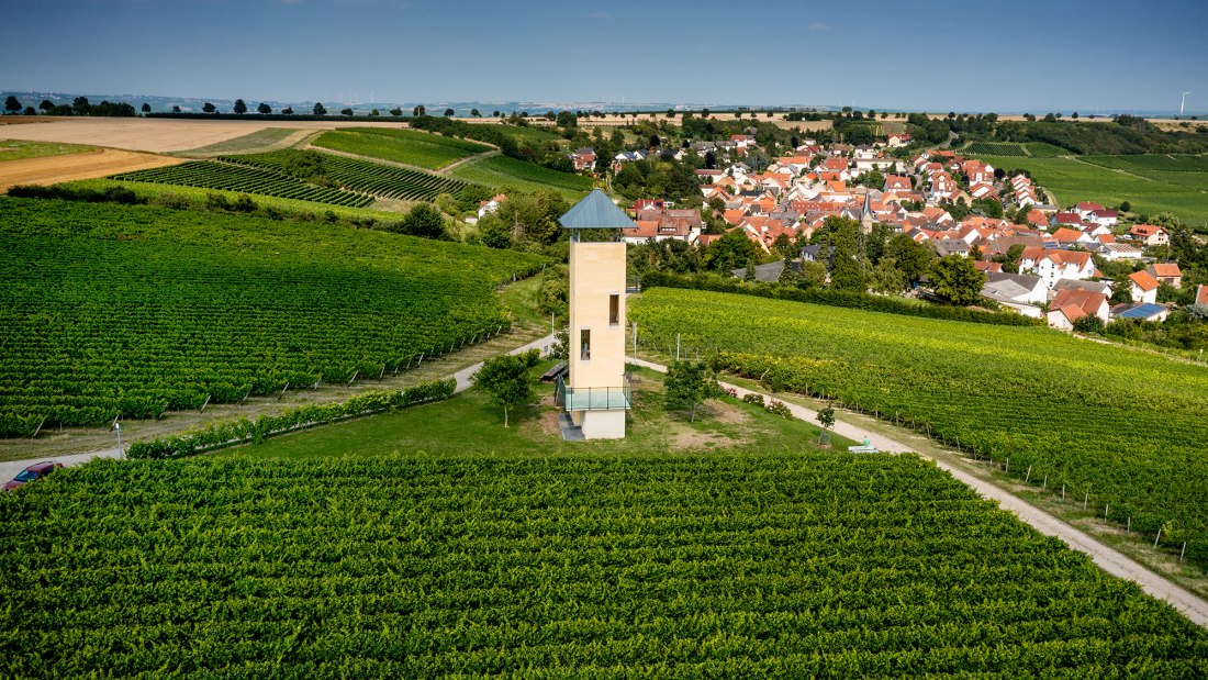 Vendersheimer Sonnenberg