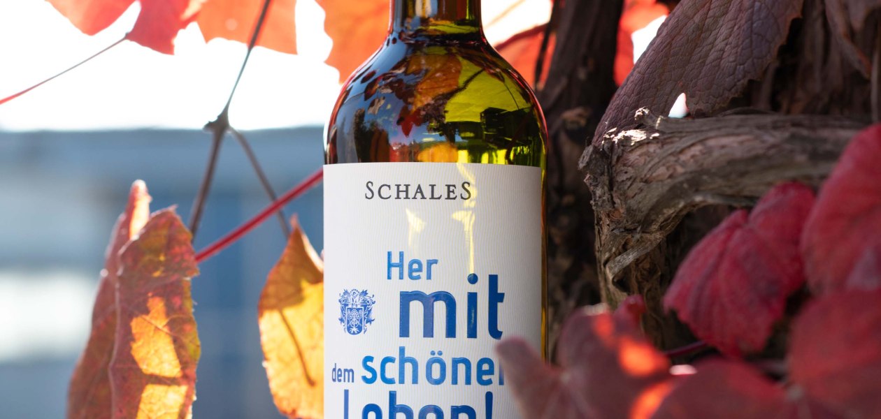 Weingut Schales_Grauburgunder, &copy; Weingut Schales