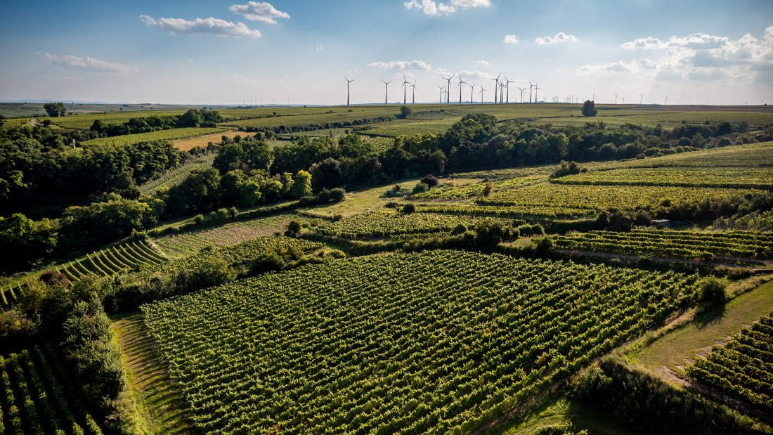 Alsheimer Frühmesse