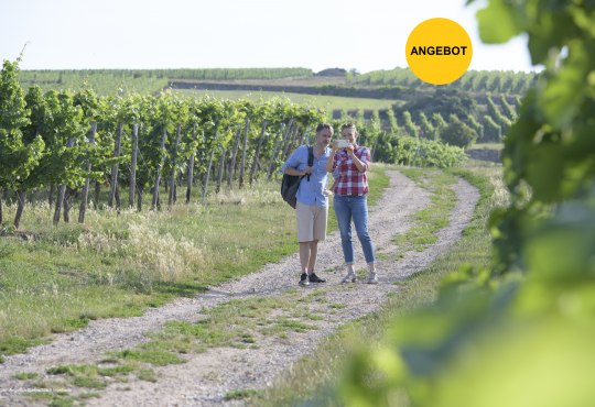 Wandern in Ingelheim, &copy; Angelika Stehle/Stadt Ingelheim