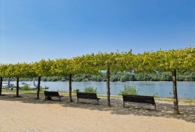 Rheinufer Heidenfahrt - Blick auf Inselrhein 1 &copy; Rheinhessen-Touristik GmbH