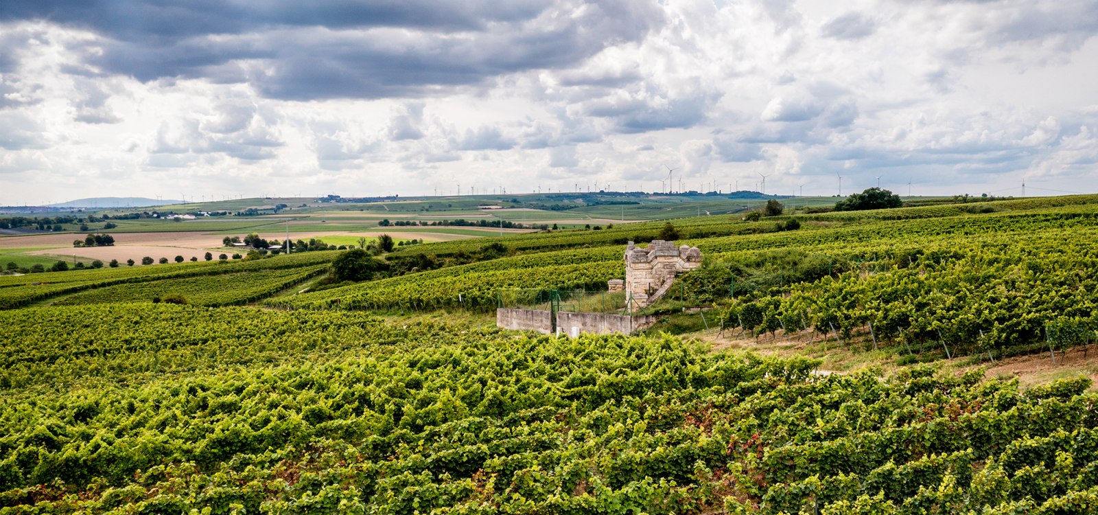 Bechtheimer Rosengarten