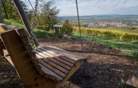 Weinbergschaukell Ockenheim