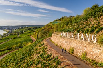 Roter Hang Blick Richtung Nierstein