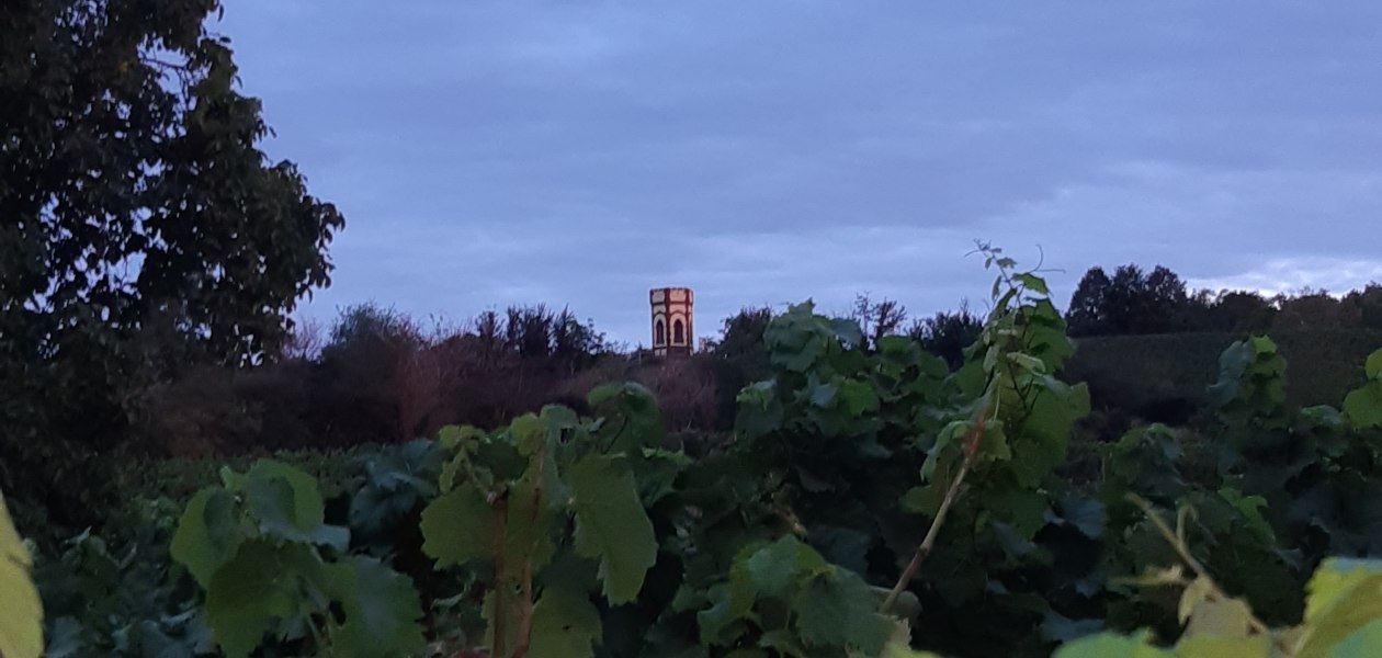 &copy; Weingut Holzm&uuml;hle