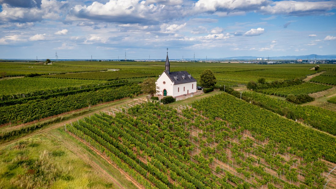 Abenheimer Klausenberg, © Torsten Silz